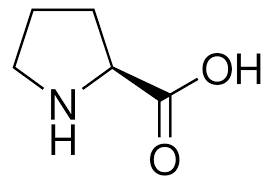 Proline