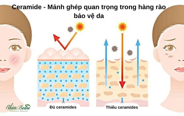 lợi ích của ceramide