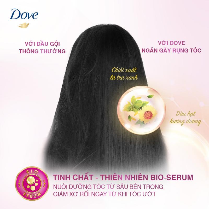 Chăm sóc tóc dầu gội Dove ngăn gãy rụng tóc cách giúp tóc khỏe mạnh